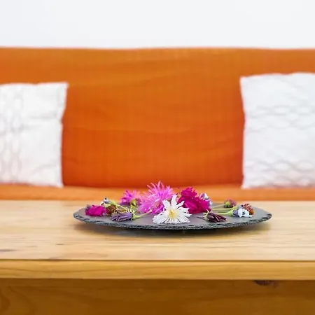 Vila Marondina - Privacy And Peace *